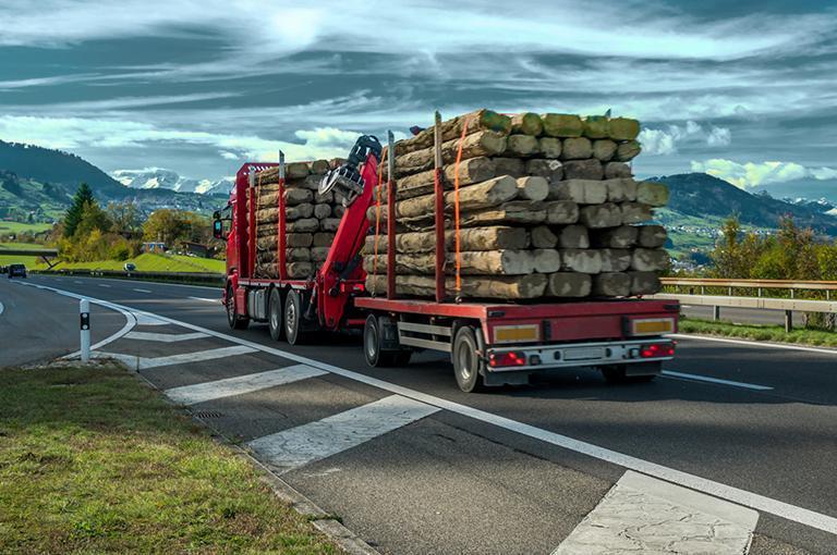 transportowanie drewna samochodem ciezarowym